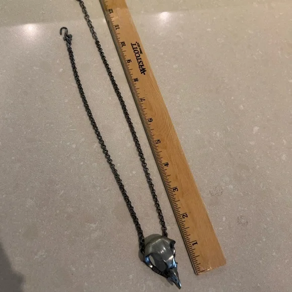 Black Bird Skull Necklace and Bone Earrings Set - Picture 4 of 11